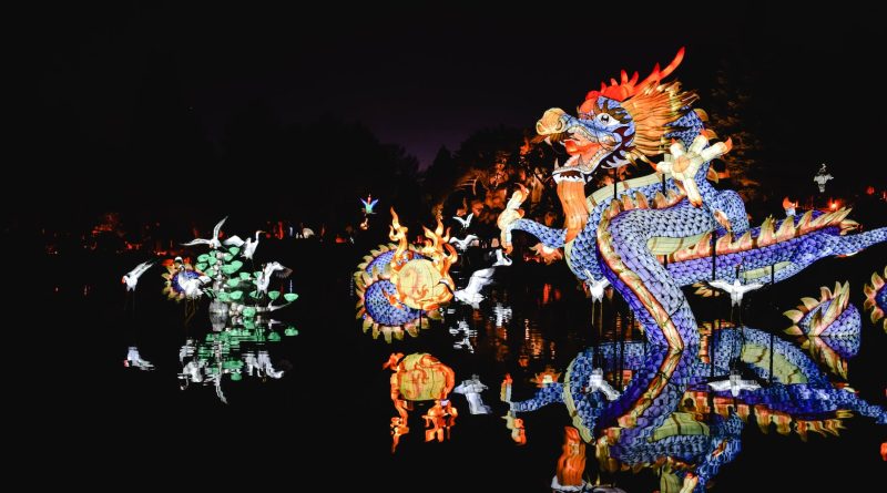 dragon festival during nighttime