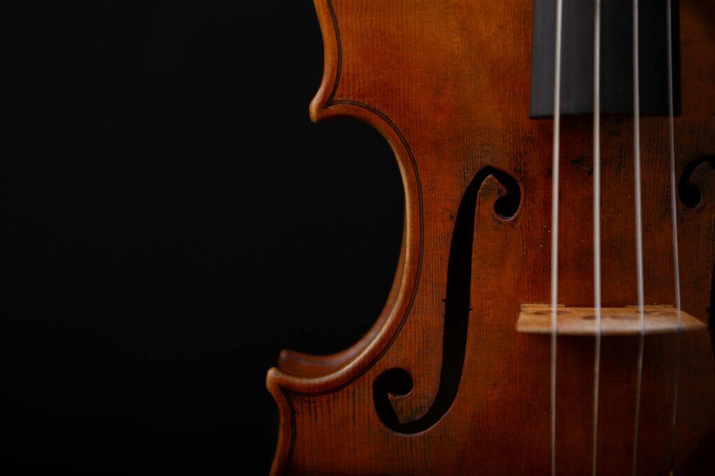 commercial product photo viola