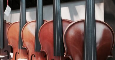close up shot of violins