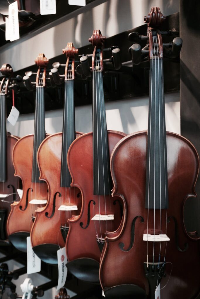 close up shot of violins