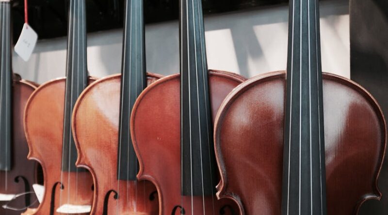 close up shot of violins