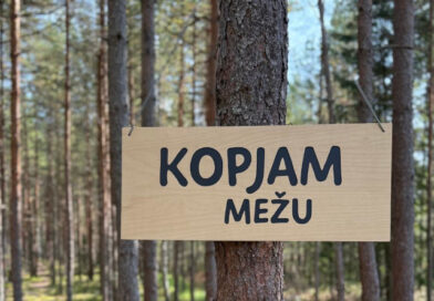 Sesto klašu skolēni LVM Meža ekspedīcijā