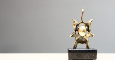 Gada kultūrvieta Latvijā – Rīgas 6. vidusskola 