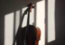 elegant cello in dramatic shadow lighting