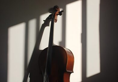 elegant cello in dramatic shadow lighting