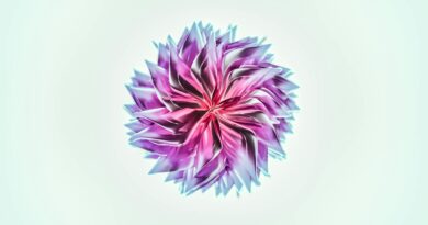 purple and white flower in white background