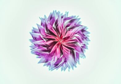 purple and white flower in white background