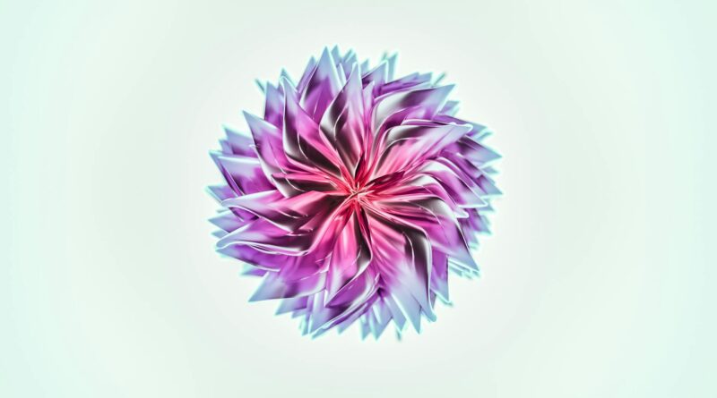 purple and white flower in white background